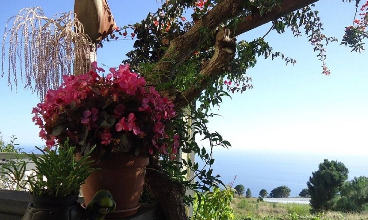 Estreito da Calheta Cottage | Palheiro Cavalinho In Madeira