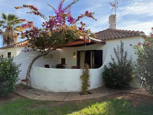 Santa Luzia Resort | Pedras del Rei - CBC HOMES
