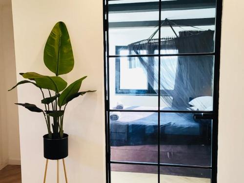 Sarzedas Other | Private Wellness Boa Vista