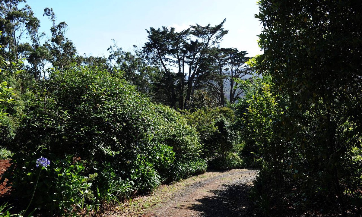 Santo da Serra House | Quinta Cova do Milho