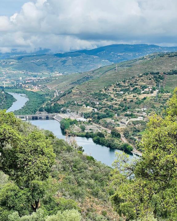 Armamar Bed & Breakfast | Quinta da Pinguinha - Douro