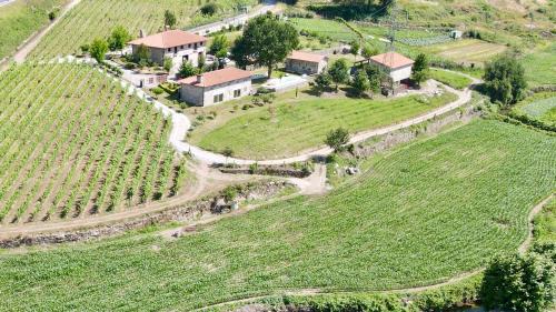 Sao Jorge de Selho House | Quinta de Carvalhal - Casa da Vinha