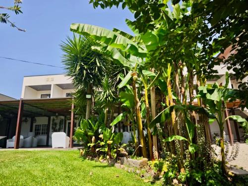 Cabeceiras de Basto House | Quinta do Botas