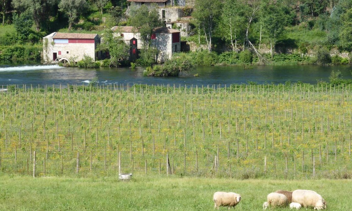 Amares House | Quinta do Burgo