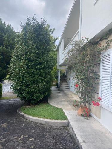 Sever do Vouga House | Quinta do Vale Vaqueiro