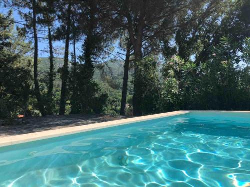 Vila Nogueira de Azeitao Villa | Quinta dos Medronheiros