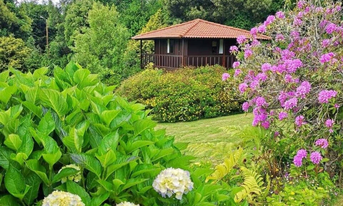 Santo da Serra Cabin | Quinta das Eiras Abrigo 7