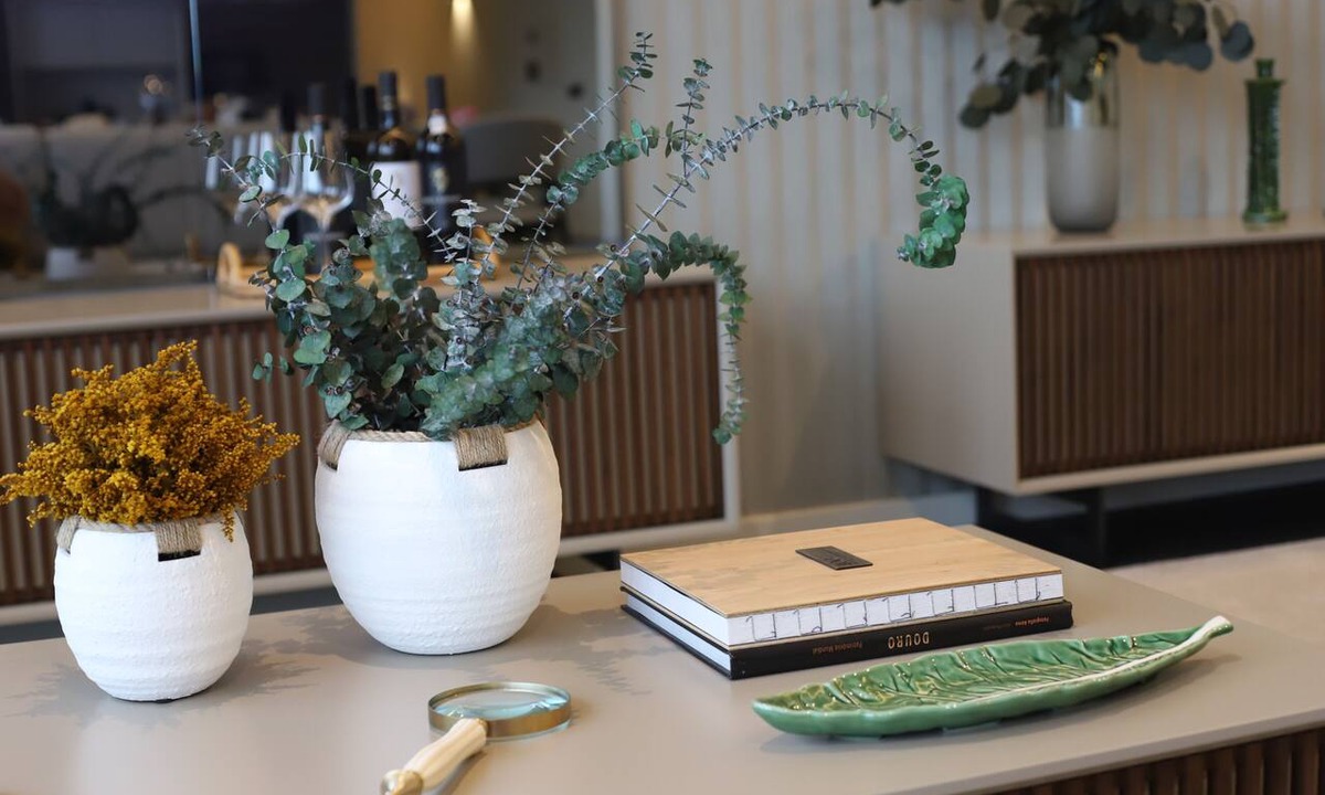 Armamar Bed & Breakfast | Quinta Vale de Lobos Douro