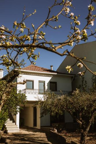 Gouveia House | Red Fox Lodge Serra da Estrela