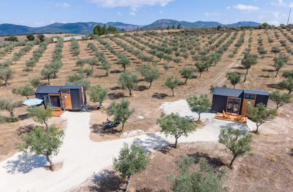 Monaco House | Refugio do Olival by Tiny Away