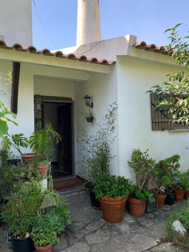 Monserrate Hostel | Regenerative Living Cascais