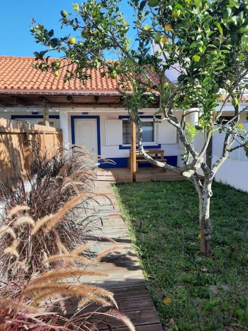 Comporta House | Sado House 3