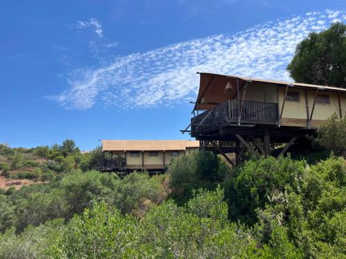 Figueira Other | Salema Eco Camp - Sustainable Camping & Glamping