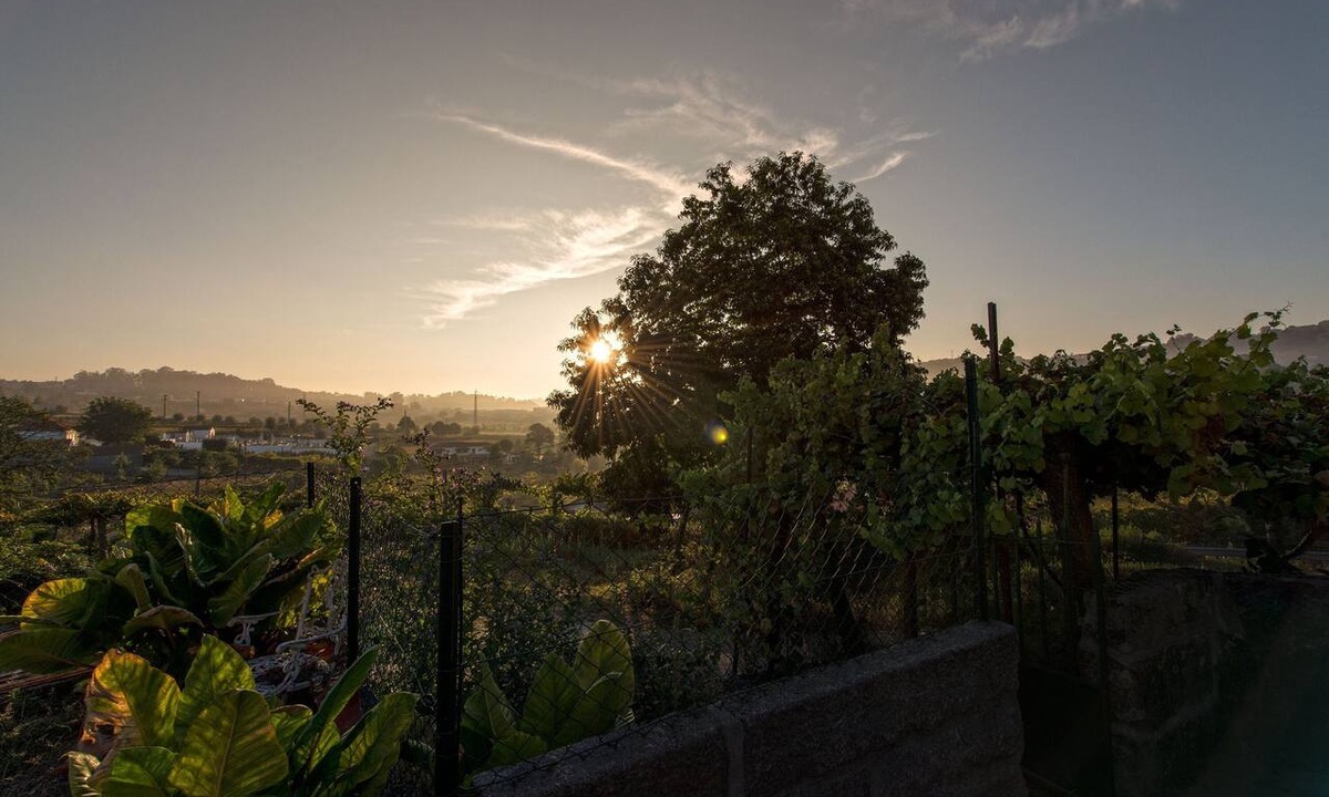 Felgueiras Hostel | Stone Farm Hostel