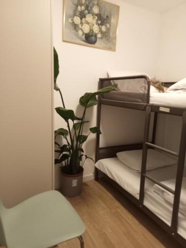 Socorro House | Sylhet BNB