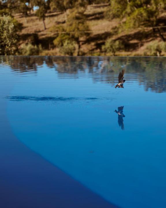 Santa Margarida da Serra House | The Blue House Valley
