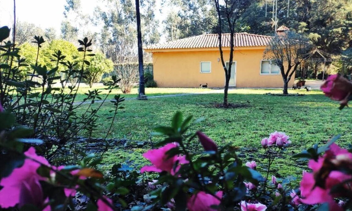 Nespereira Villa | Villa-Cottage-Ensuite with Shower-Garden view