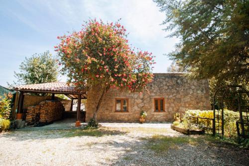 Riba de Ancora House | Villa Esquina 204 - Connected With Nature- uChill