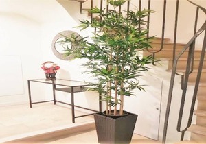 3rdE Sweet Apartment Downtown