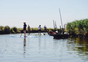 Torreira Camping & Bungalows in Murtosa