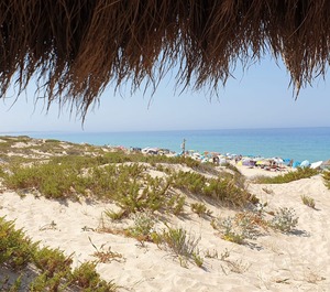 Comporta 