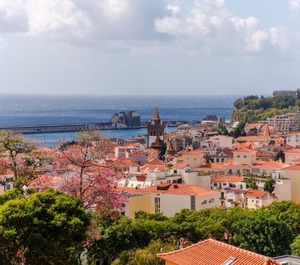 Viola Market Funchal 