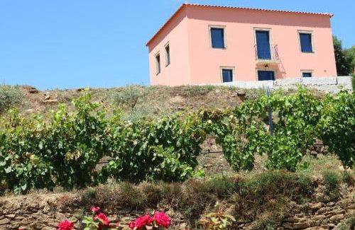 Pinhel House | 150 m² House ∙ 3 bedrooms ∙ 6 guests