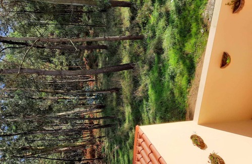 Labruge Hotel | 19 m² Hotel ∙ 1 bedroom ∙ 2 guests