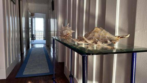 Costa Nova do Prado Apartment | Apartment ∙ 2 bedrooms ∙ 5 guests