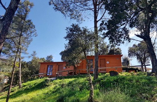 Castelo de Paiva House | House ∙ 1 bedroom ∙ 4 guests