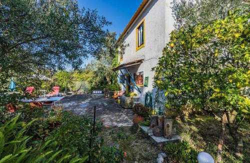 Soure House | House ∙ 4 bedrooms ∙ 6 guests