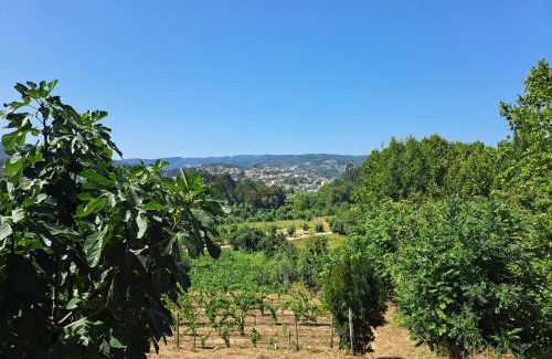 Molares House | Quinta de Carcavelos Agroturismo e Enoturismo