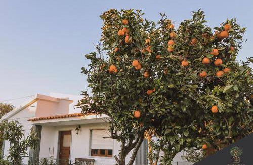 Alfarim House | 80 m² House ∙ 2 bedrooms ∙ 5 guests