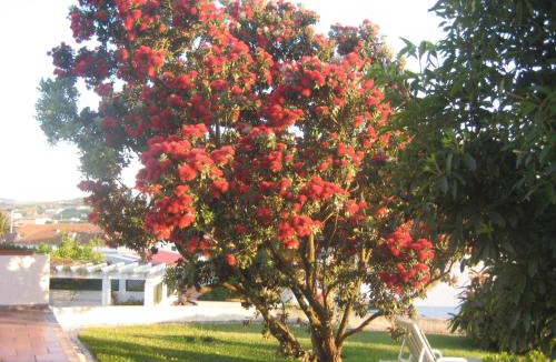 Atalaia House | A Casinha