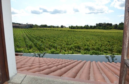 Portela House | A fantastic vacation farm in Braga!
