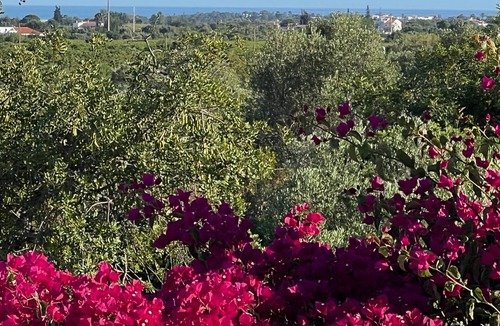 Santo Estevao Villa | A hidden gem offering complete privacy.
