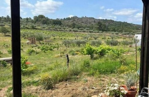 Trancoso Other | A Nature Getaway in the Heart of an Agroecological Farm