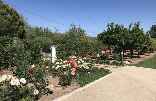 Alfeicao House | A quiet house in an ideal location, with a garden and a large swimming pool, offering every comfort