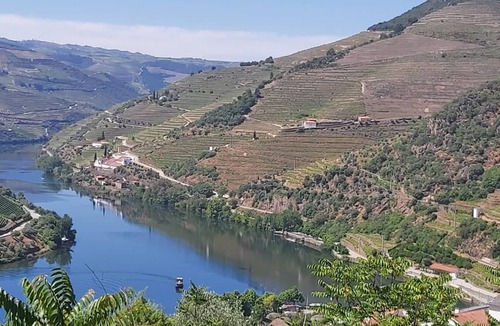 Bomfim House | A traditional house in the heart of the Douro