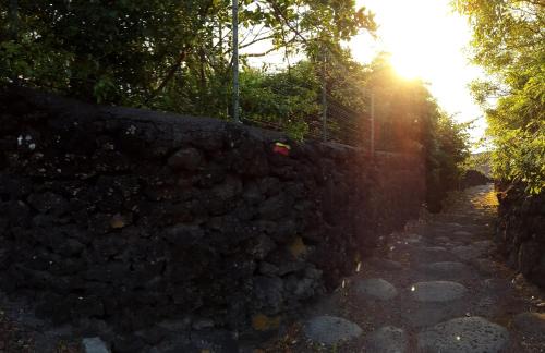 Sao Roque do Pico House | Adega dos Terceira