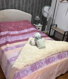 Campanha House | AL Pitões