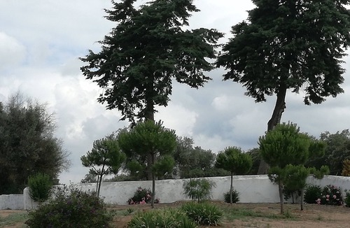Elvas Cottage | Alentejo Elvas (Monte dos Alcamins)