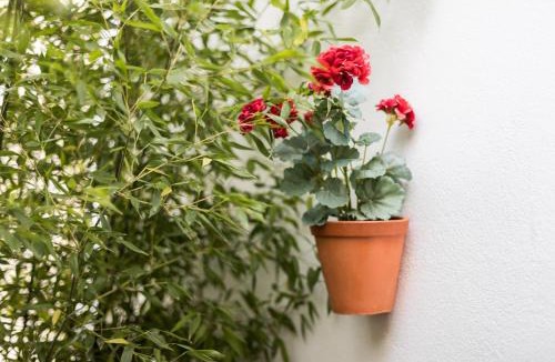Alfama Apartment | Alfama Design Villa