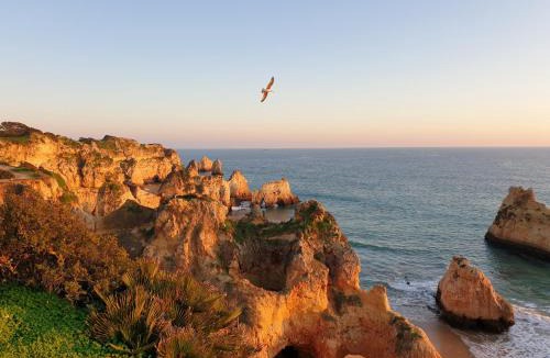 Torralta Apartment | Algarve Alvor Tower