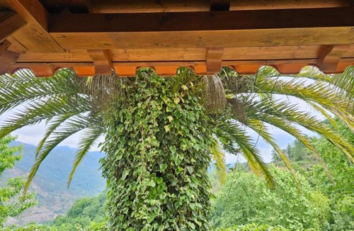 Cova Apartment | Amanhecer da Montanha