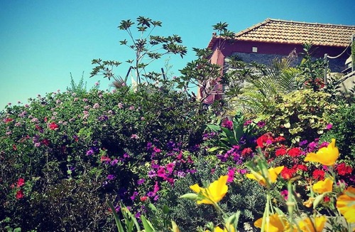 Estreito da Calheta House | Amazing views, large terrace and garden.