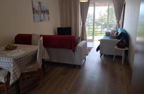 Ponta do Sol Apartment | Apartamento Vai Vem