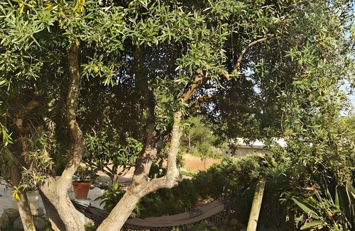 Melides Apartment | Apartment 'Casa Oliveira' with Mountain View, Wi-Fi and Air Conditioning