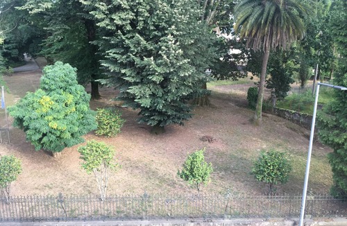 Ponte de Lima Apartment | Apartment rental