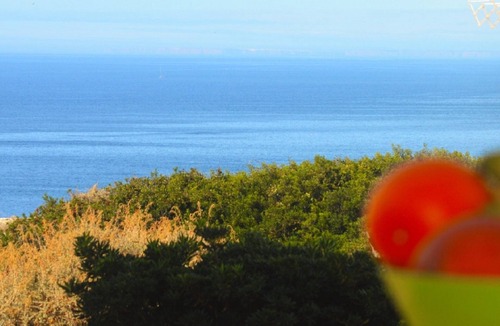 Vale de Centianes Apartment | Apartment With Sea Views, near Beach, Carvoeiro Algarve